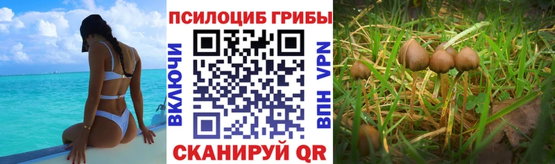купить наркотики сайты  Уфа  Галлюциногенные грибы ЛСД 