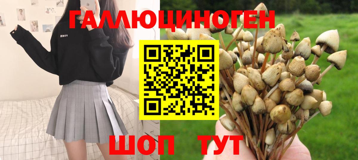 Уфа  Псилоцибиновые грибы мицелий  Галлюциногенные грибы MAGIC MUSHROOMS  наркота  Вход с VPN 
