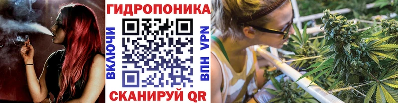 Бошки Шишки планчик Уфа